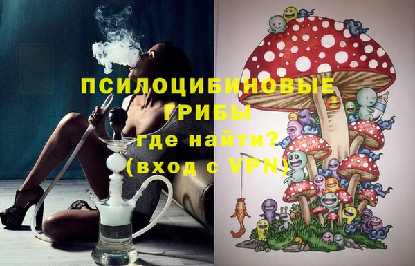 каннабис Аркадак