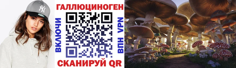 Псилоцибиновые грибы Psilocybe  Лянтор 